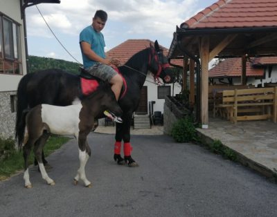 slika objekta